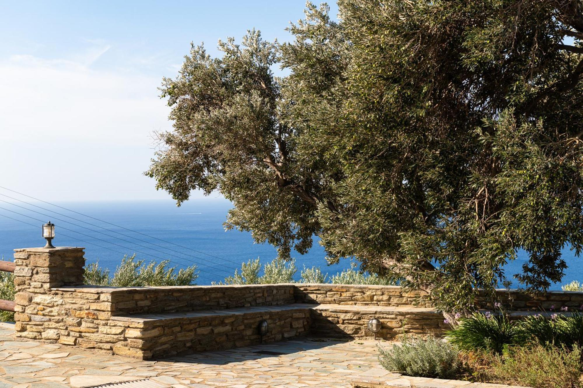 Andros Serenity Retreat - Adults Only Episkopion  Екстер'єр фото